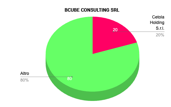 BCube Consulting